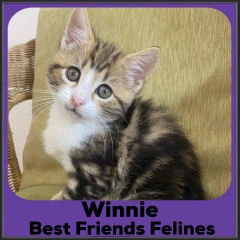 2022-Winnie