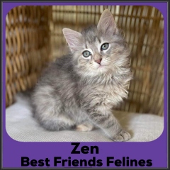2022-Zen