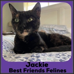2022-jackie2