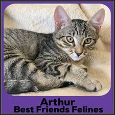 2023-Arthur