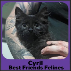 2023-Cyril