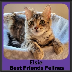 2023-Elsie