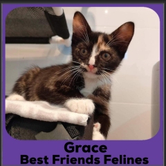 2023-Grace