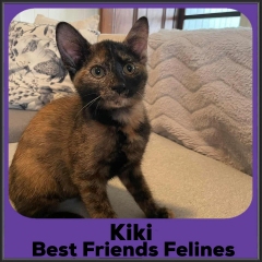 2023-Kiki