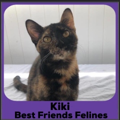 2023-Kiki2