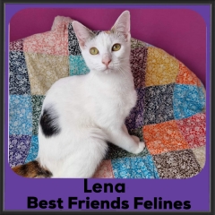 2023-Lena4
