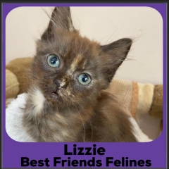 2023-Lizzie