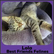 2023-Lola