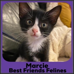 2023-Marcie