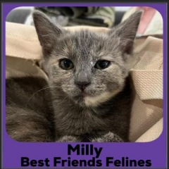2023-Milly