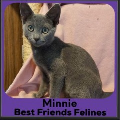 2023-Minnie