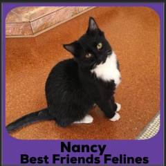 2023-Nancy