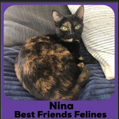 2023-Nina
