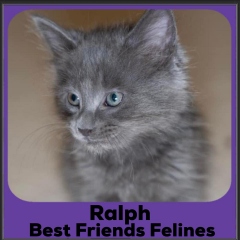 2023-Ralph