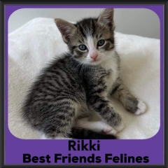 2023-Rikki