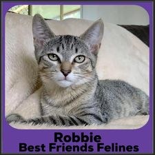 2023-Robbie