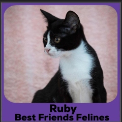 2023-Ruby