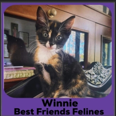 2023-WInnie
