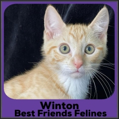 2023-Winton