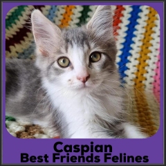 2023-caspian