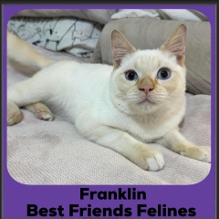 2024-Franklin