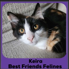 2024-Keira