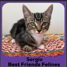 2024-Sergio