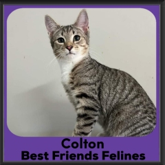 2024-colton