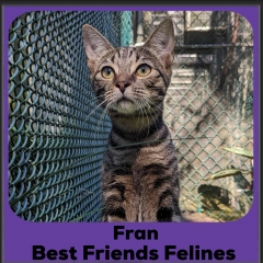 2024-fran-2