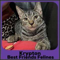 203-Krypton