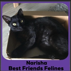 2_2023-Narisha