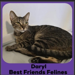 Darryl