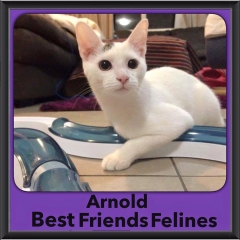 2015 - Adopted - Arnold