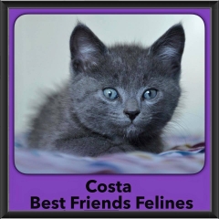 2015 - Adopted - Costa