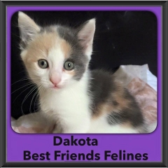 2015 - Adopted - Dakota