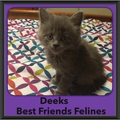 2015 - Adopted - Deeks