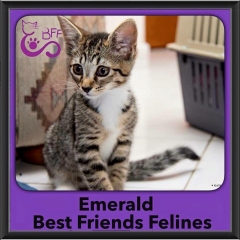 2015 - Adopted - Emerald