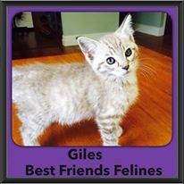 2015 - Adopted - Giles