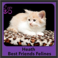 2015 - Adopted - Heath