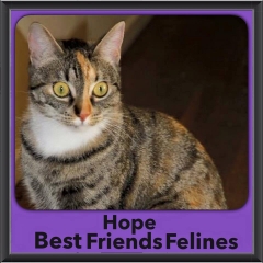 2015 - Adopted - Hope