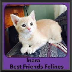 2015 - Adopted - Inara