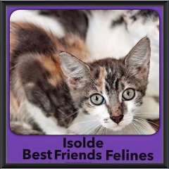 2015 - Adopted - Isolde