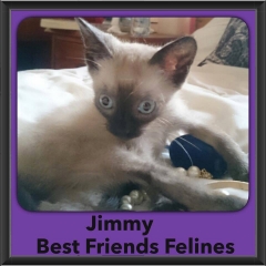 2015 - Adopted - Jimmy