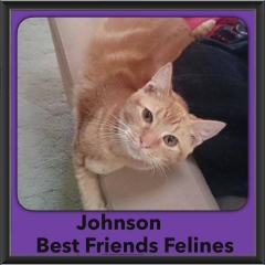 2015 - Adopted - Johnson