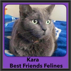 2015 - Adopted - Kara