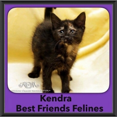 2015 - Adopted - Kendra