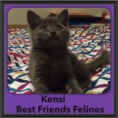 2015 - Adopted - Kensi