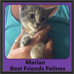 2015 - Adopted - Marian