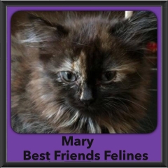 2015 - Adopted - Mary