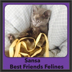 2015 - Adopted - Sansa